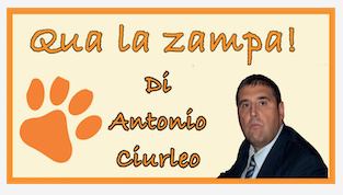Schermata 2020 09 20 alle 10.47.52
