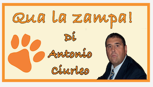 Schermata 2021 03 21 alle 11.08.17