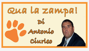 Schermata 2021 03 28 alle 11.53.26