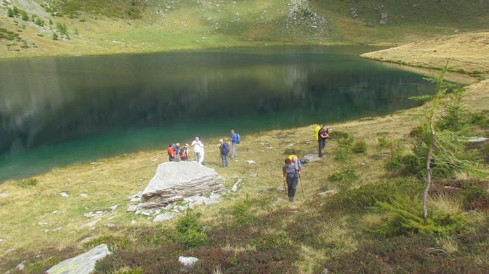 matogno trotapian
