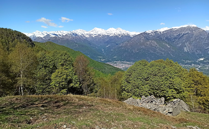 alpe roi fabbri